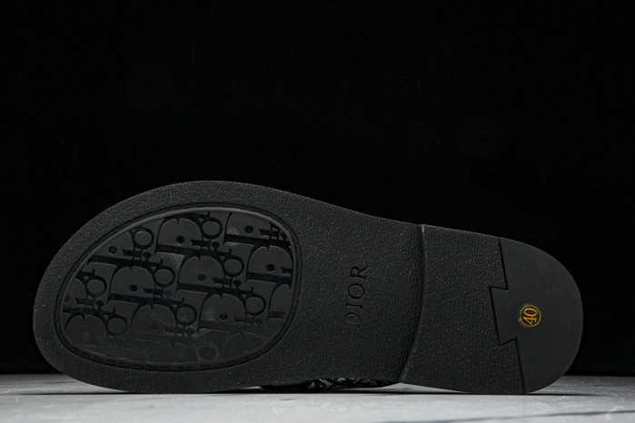 D1R* SLIDE copshoe DR-SLIDE 020