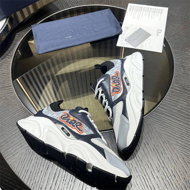 DIOR B22 DR StreetReady 1060