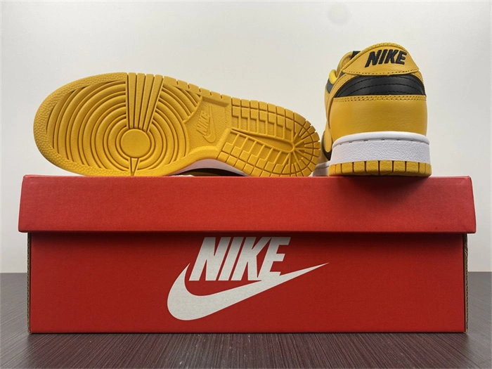 Nike Dunk Low Championship Goldenrod DD1391- EasyCare 4824