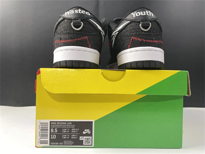 Nike SB Dunk Low Wasted Youth DD8386- HighPerformance 4869